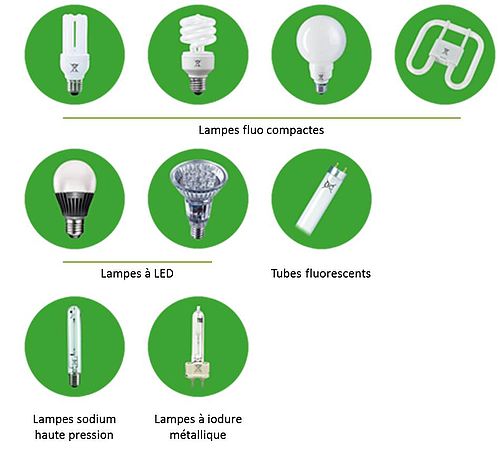 Les lampes qui se recyclent - Agrandir l'image, .JPG 53 Ko (fenêtre modale)