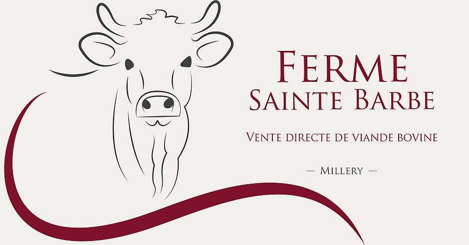 Logo de la ferme Sainte Barbe: dessin d'une tête de charolaise - Agrandir l'image, .JPG 271 Ko (fenêtre modale)